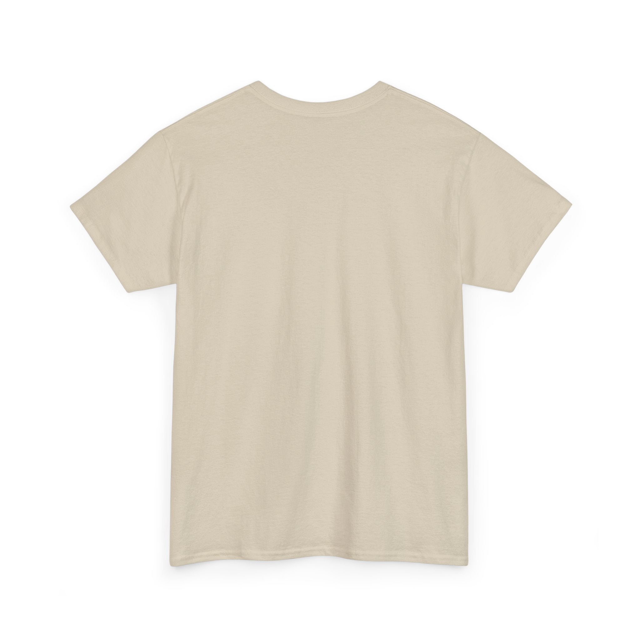 Cheaper Version - Jesus Good Shepherd T-Shirt — "I Was The One" Inspirational Christian Tee